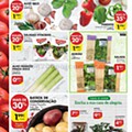 Antevisão Folheto PINGO DOCE Lojas Pequenas Promoções de 7 a 13 julho d6.jpg
